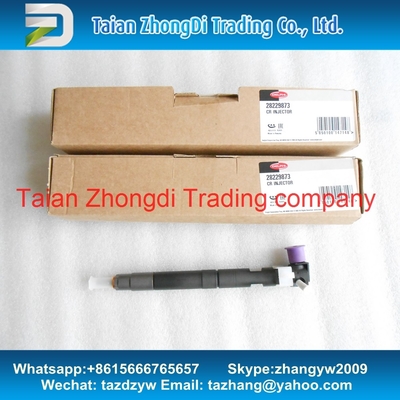 China Injetor comum 28229873 do trilho do original de Delphi para 33800-4A710, Euro IV HYUNDAI Starex 2. dos bongos 3 WGT 2.5L de 338004A710 KIA. fornecedor