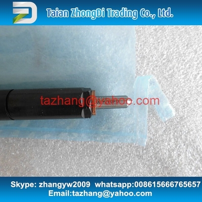 China Injetor comum genuíno EJBR03001D/33800-4X900/33801-4X900 do trilho de Delphi para BONGOS fornecedor