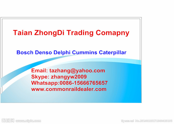 China Injetor de combustível comum do trilho de DENSO 095000-0580, 095000-0581 para HINO 23910-1201, S2391-01201 fornecedor