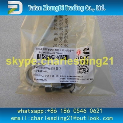 China slivery alto da tubulação de óleo 3978031 do presssure dos cummins originais e brandnew feito do aço com boa qualidade e preço fornecedor