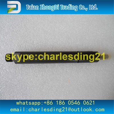 China Injetor de combustível original e novo 61560080276 das peças de motor de Weichai fornecedor