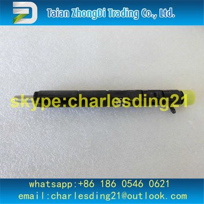 China Os ajustes EJBR03301D/33800-4X900/1112100TAR comuns ORIGINAIS E NOVOS de DELPHI do trilho do injetor para JMC transitam por 2.8L o Euro III fornecedor