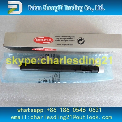 China Injetor comum ORIGINAL E NOVO EJBR04401D de DELPHI do trilho para 6650170221 SSANGYONG fornecedor