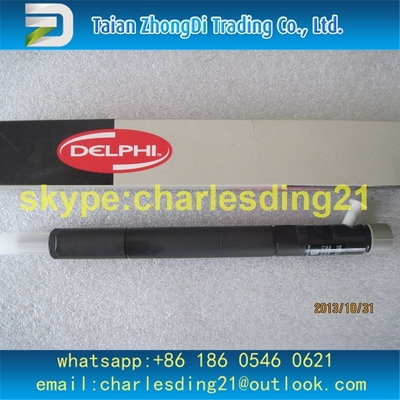 China Injetor comum ORIGINAL E NOVO EJBR04701D de DELPHI do trilho para SSANGYONG D20DT A6640170221 fornecedor