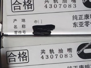 China CUMMINS provê de bocal 4307083, P5461846FSW, 5406060 originais e brandnew fornecedor