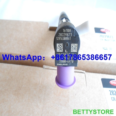 China DELPHI 28229873/33800-4A710 genuínos e injetor comum novo do trilho 28229873/33800-4A710/338004A710 para HYUNDA KIA fornecedor