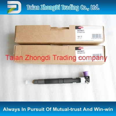 China Injetor comum do trilho do original de DELPHI 28229873/338004A710/33800-4A710 para KIA/STAREX fornecedor