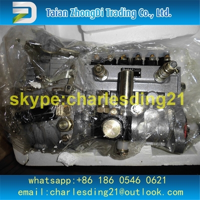 Bomba de combustível original e nova BH6PA do tipo de LONGBENG 141260022 13036394 com preço de alta qualidade e melhor fornecedor