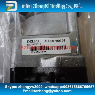 Terno REXTON A6650700101/A6650700401 da bomba de combustível R9044Z051A/R9044Z162A de Delphi fornecedor
