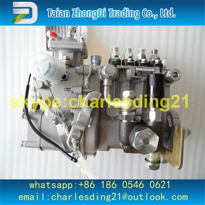 BOMBA ORIGINAL E BRANDNEW BHF4PM100003 4PL226-85-1700 de WEIFU com boa qualidade fornecedor