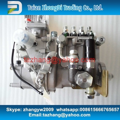 Bomba de combustível original BHF4PM100003 de WEIFU para 4D32-09 fornecedor