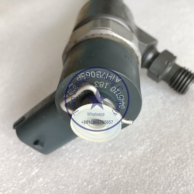 Injetor comum 0445110183 do trilho de BOSCH, 0 445 110 183 fornecedor