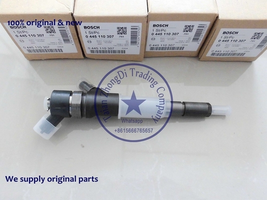 Injetor comum 0445110307 do trilho de BOSCH, 0 445 110 307, 0445 110 307 fornecedor