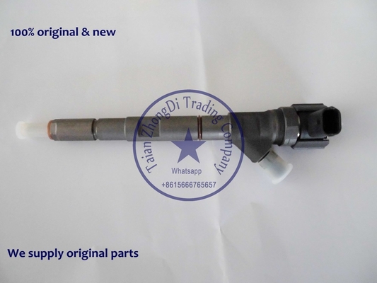 Injetor comum 0445110279 do trilho de BOSCH, 0 445 110 279 para Hyundai Starex 2.5L 33800-4A000 fornecedor