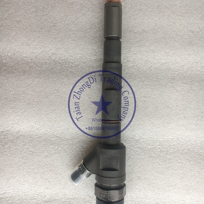BOSCH 0 445 110 274, 0 445 110 injetor 0445110274 do trilho de 275 terras comuns, 0445110275 para HYUNDAI 33800-4A500 fornecedor