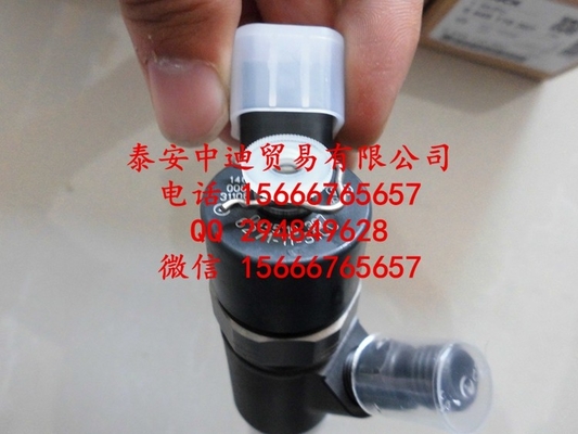 Injetor comum 0445110307 do trilho de BOSCH, 0 445 110 307 fornecedor