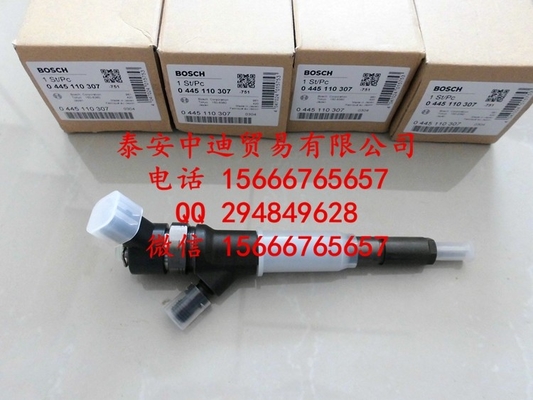 Injetor comum 0445110307 do trilho de BOSCH, 0 445 110 307 fornecedor
