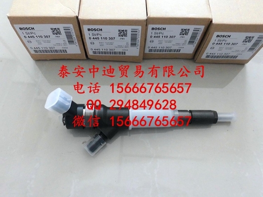 Injetor comum 0445110307 do trilho de BOSCH, 0 445 110 307 fornecedor