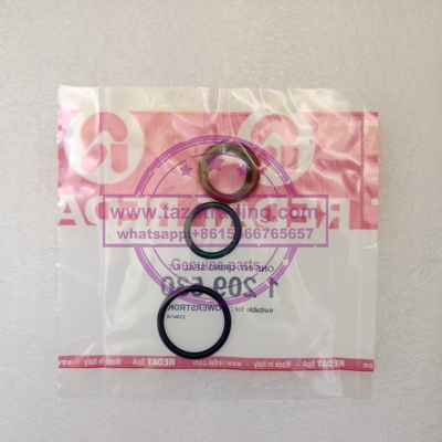 Kit de vedação Oring Kit de reparação 1209530 para o kit de vedação de borboleta fornecedor