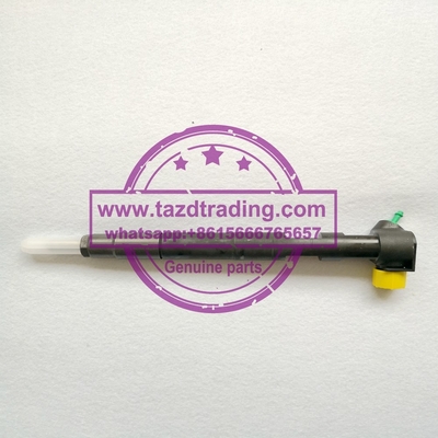Injetor comum genuíno e novo 28342997 EMBR00002D R00002D 28348371 de DELPHI do trilho para A6510700587 A6510704987 fornecedor