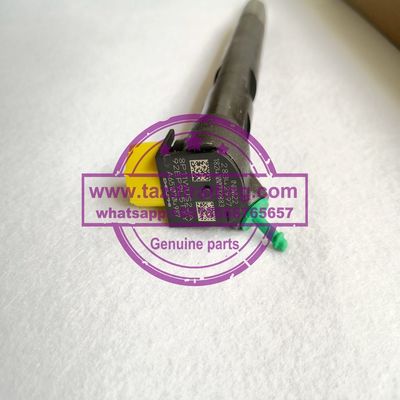 Injetor comum genuíno e novo 28342997 EMBR00002D R00002D 28348371 de DELPHI do trilho para A6510700587 A6510704987 fornecedor