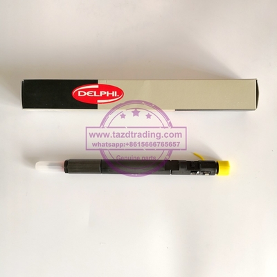 Injetor genuíno EJBR04201D de DELPHI, R04201D para o Benz A6460700987 de Mercedes, 6460700987 fornecedor