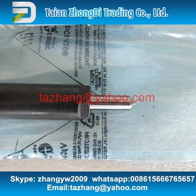 Injetor EJBR04401D de DELPHI, R04401D para SSANGYONG A6650170221, 6650170221 fornecedor