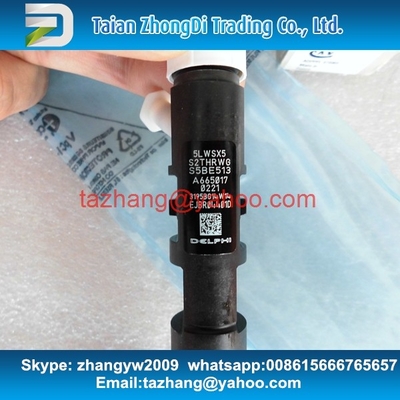 Injetor EJBR04401D de DELPHI, R04401D para SSANGYONG A6650170221, 6650170221 fornecedor