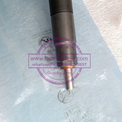 Injetor comum genuíno do trilho de DELPHI 28489548/25195089, 28264951/25183186 fornecedor