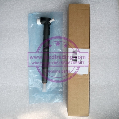 Injetor comum genuíno do trilho de DELPHI 28489548/25195089, 28264951/25183186 fornecedor