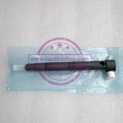 Injetor comum genuíno do trilho de DELPHI 28489548/25195089, 28264951/25183186 fornecedor