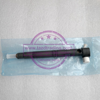 Injetor comum genuíno do trilho de DELPHI 28489548/25195089, 28264951/25183186 fornecedor