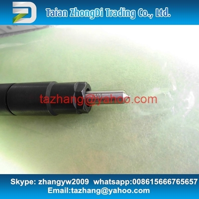 Injetor comum EMBR00301D do trilho de DELPHI EMBR00301D, injetor 6710170121 A6710170121 de R00301D SSANGYONG Korando fornecedor