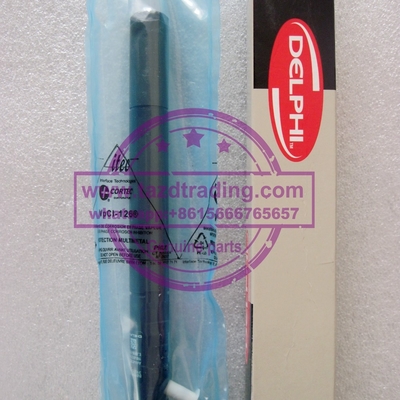 Injetor EJBR04701D EJBR03401D de EJBR04701D DELPHI para SSANGYONG A6640170221 A6640170021,6640170221 fornecedor