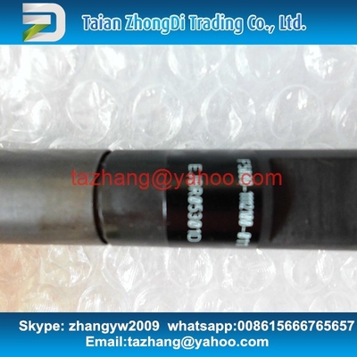 Injetor comum EJBR05301D do trilho do original de DELPHI para YUCHAI F50001112100011 fornecedor
