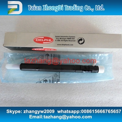 Injector comum EJBR04401D do trilho de EJBR04401D DELPHI para SSANGYONG A6650170221, 6650170221 fornecedor