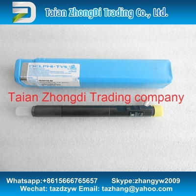 Injetor EJBR04901D do CR de DELPHI, R04901D, 28280600, 27890116101 TML 2.2L E4 fornecedor