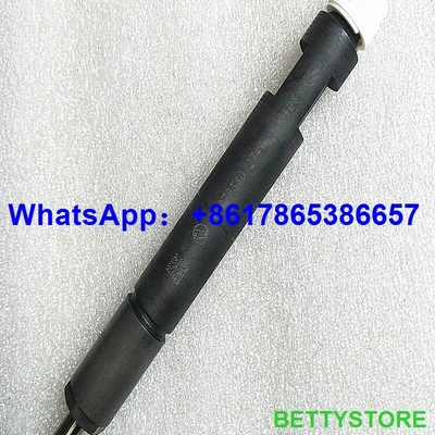 Injetor comum genuíno e novo do trilho 04286251/0428-6251/0428 6251 fornecedor