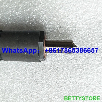 Injetor comum genuíno e novo do trilho 04286251/0428-6251/0428 6251 fornecedor