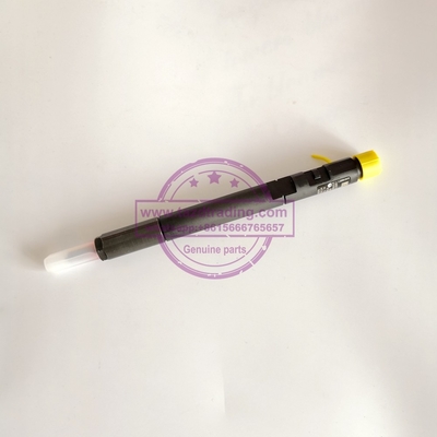 Injetor comum genuíno & novo EJBR04201D de DELPHI do trilho para o Benz OM646 A6460700987 de Mercedes fornecedor