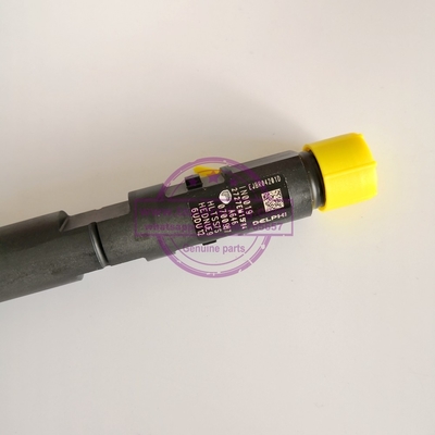 Injetor comum genuíno & novo EJBR04201D de DELPHI do trilho para o Benz OM646 A6460700987 de Mercedes fornecedor