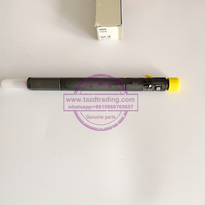 Injetor comum genuíno & novo EJBR04201D de DELPHI do trilho para o Benz OM646 A6460700987 de Mercedes fornecedor