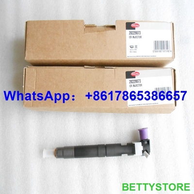 DELPHI 28229873/33800-4A710 genuínos e injetor comum novo do trilho 28229873/33800-4A710/338004A710 para HYUNDA KIA fornecedor