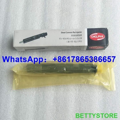 Injector comum 28231014 do trilho de 28231014 DELPHI para o pairo H6 1100100-ED01 do Grande Muralha fornecedor