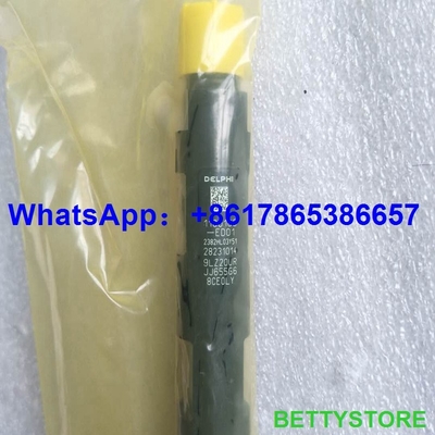 Injector comum 28231014 do trilho de 28231014 DELPHI para o pairo H6 1100100-ED01 do Grande Muralha fornecedor