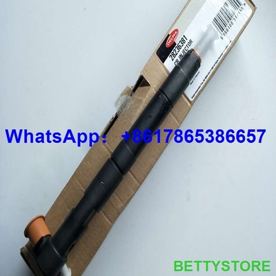 Injetor comum do trilho 28236381/33800-4A700 do INJETOR de DELPHI 28236381/338004A700 para HYUNDAI Starex fornecedor