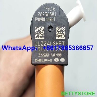 Injetor comum do trilho 28236381/33800-4A700 do INJETOR de DELPHI 28236381/338004A700 para HYUNDAI Starex fornecedor
