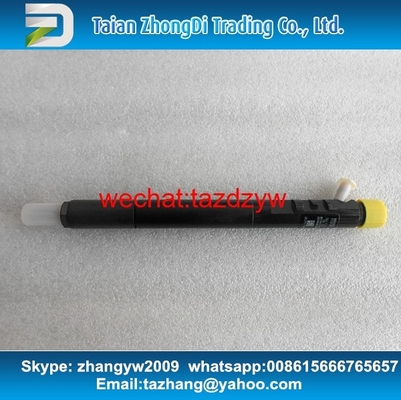 Injetor genuíno EJBR04901D do CR de DELPHI, R04901D, 28280600, 27890116101 TML 2.2L E4 fornecedor