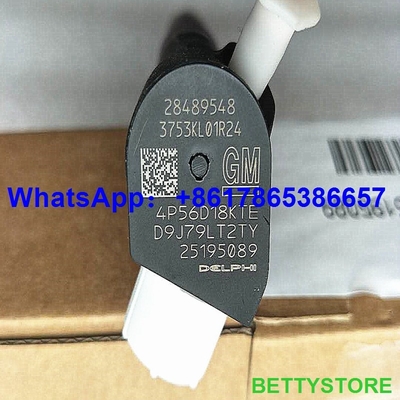 Injetor comum genuíno do trilho de DELPHI 28489548/25195089, 28264951/25183186 fornecedor