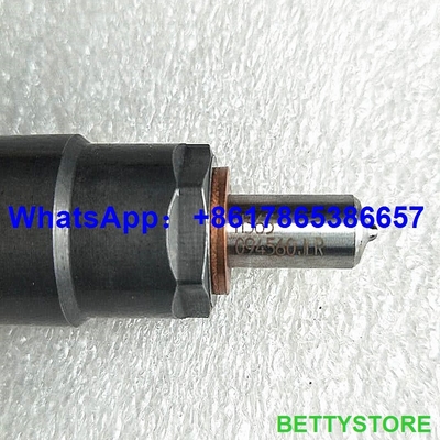 Injetor comum genuíno do trilho de DELPHI 28489548/25195089, 28264951/25183186 fornecedor